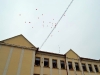ballagas_2012-82