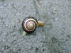 blanka_foto-4