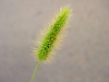 blanka_foto-5