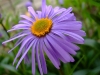 blanka_foto-6