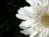blanka_foto-8