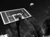bortos_julia_foto-10