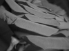 bortos_julia_foto-3