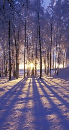winter_1
