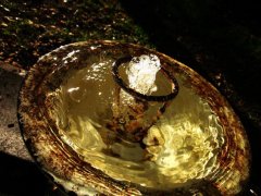 bortos_julia_foto-1