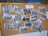 marciusi_ifjak_hetfo-6