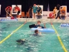 nagyvagy_2-6