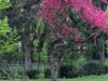 simonyi_helyesiras_2013-28