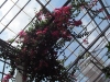 simonyi_helyesiras_2013-49