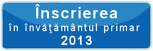 invatamant_primar2013