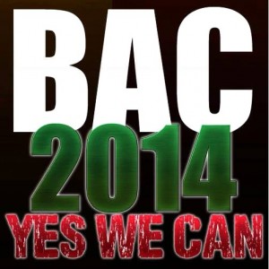 BAC_2014_b