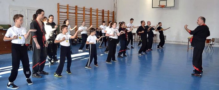 Wing_Tsun_kung_fu_sav