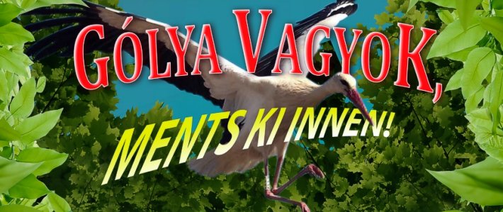 Részlet a 2017-es csikys gólyabál plakátjáról. Készítette: Búza Róbert golyabal_2017_sav