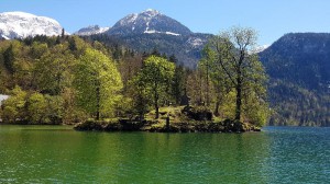 Sipos Richárd / KL (Csiky Gergely Főgimnázium, IX. A) – Szobor, a természet szívében