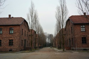 5-auschwitz_birkenau (2)