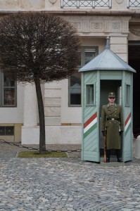 Védem a természetet