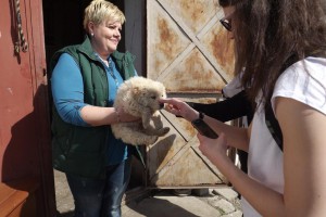 Jótékonykodtunk és örökbe fogadtunk! – Kutyamenhelyen a nyolcadikosok