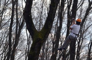 A VIII. A osztály (és néhány idősebb társuk) a kolozsvári Adrenalin parkban, 2017. március 24-én