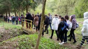 Arad megyei diákok a magyar tantárgyverseny országos szakaszán, Besztercén