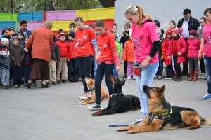 Kalypsoland_kutyaparade (15)