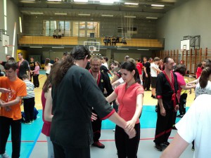 Kung_Fu_2015 (14)