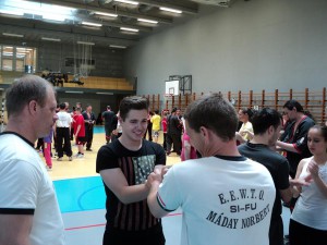 Kung_Fu_2015 (26) 