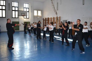 Wing_Tsun_kung_fu_Csiky (07)