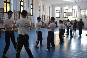 Wing_Tsun_kung_fu_Csiky (15)