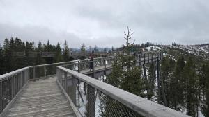 WhatsApp Image 2026-02-14 at 20.34.22 (Copy)