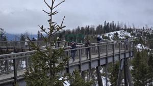 WhatsApp Image 2026-02-14 at 20.34.27 (Copy)