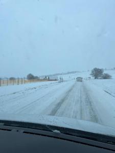 WhatsApp Image 2026-02-15 at 10.00.10 (Copy)