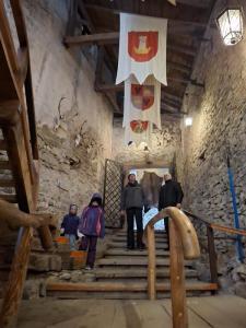 WhatsApp Image 2026-02-15 at 11.36.07 (Copy)